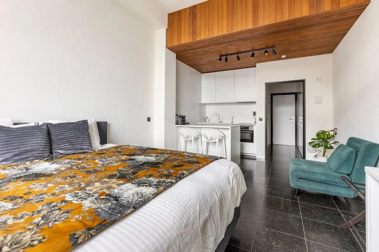Riverview Studio In Historical Heart Of Antwerpen 0*,
